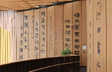 专业控卫如何调整心态应对高强度比赛_1